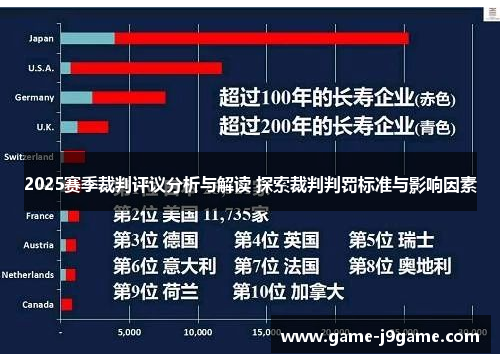 2025赛季裁判评议分析与解读 探索裁判判罚标准与影响因素