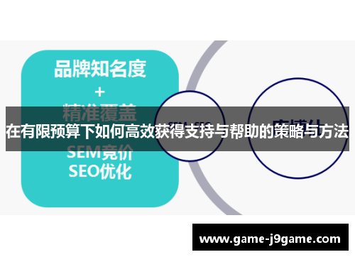 在有限预算下如何高效获得支持与帮助的策略与方法