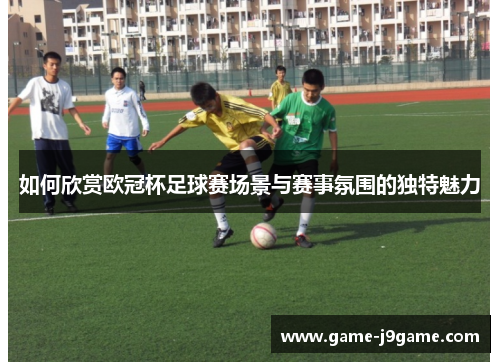 如何欣赏欧冠杯足球赛场景与赛事氛围的独特魅力